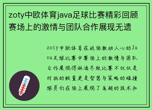 zoty中欧体育java足球比赛精彩回顾赛场上的激情与团队合作展现无遗