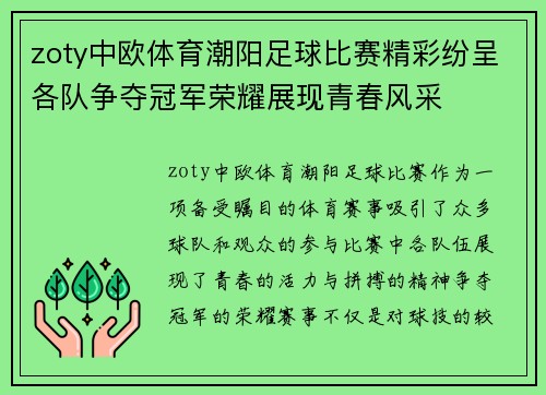zoty中欧体育潮阳足球比赛精彩纷呈各队争夺冠军荣耀展现青春风采