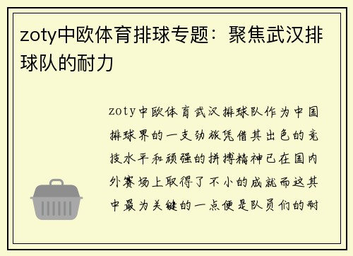 zoty中欧体育排球专题：聚焦武汉排球队的耐力