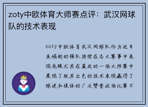 zoty中欧体育大师赛点评：武汉网球队的技术表现